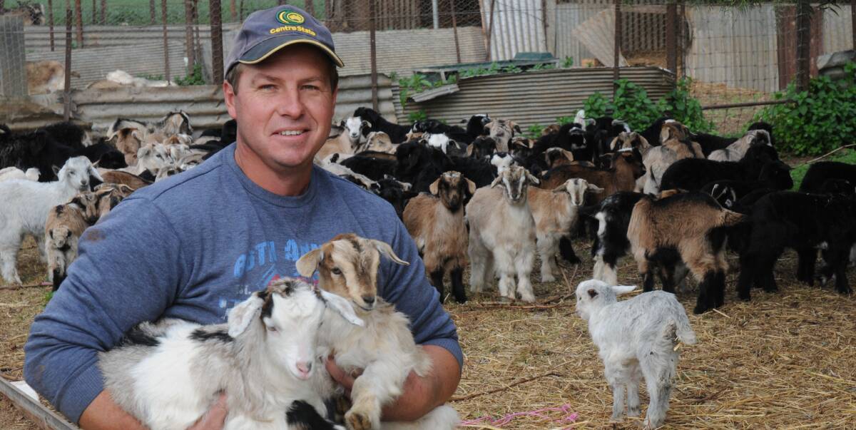 NO KIDDING: River Light Goats depot operator Paul Blacket, Mallala, believes record goat prices benefit the entire supply chain, but put pressure on the industry's long-term sustainability and stability.