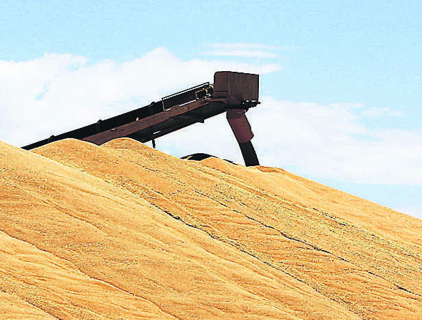 Poll: Are there benefits to reporting grain stocks?