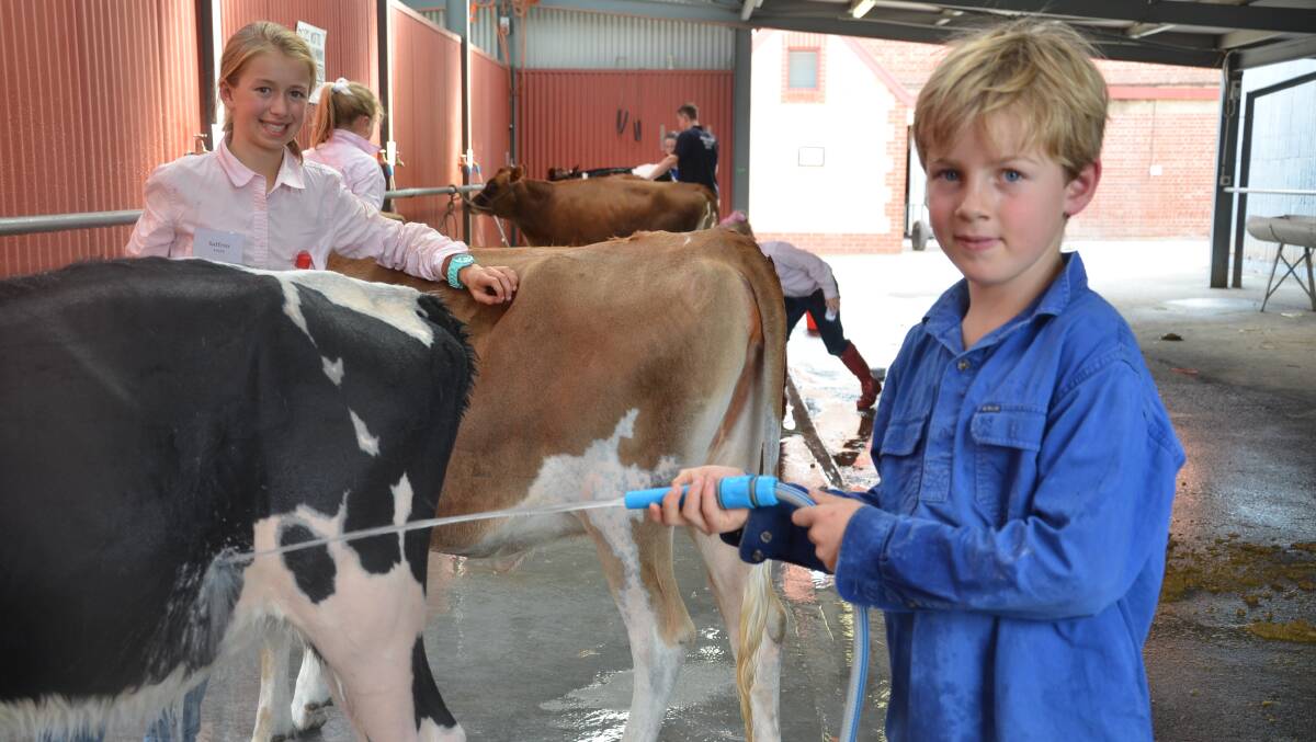 HANDS ON: Saffron and Mungo Yates, Mount Torrens, hard at work during the last all-breeds dairy camp in 2016.