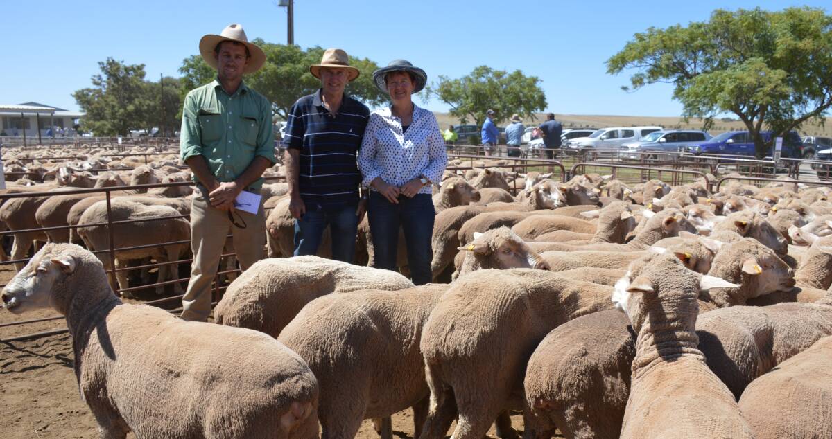 SWANSONG: Landmark Orroroo's James Sheehan with Gary and Dianne Hawthorne, Pekina, and their pen of $249 ewes, which are heading to Eudunda.