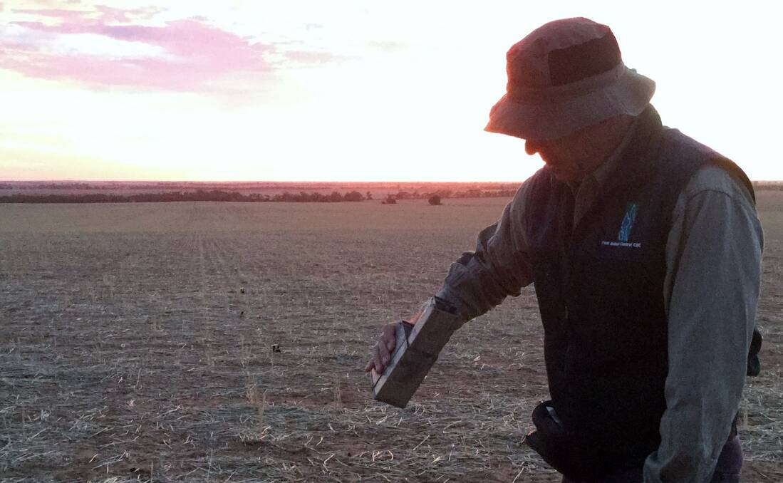 BE PREPARED: CSIRO researcher Steve Henry, pictured checking mouse traps, says growers should remain vigilant about mouse numbers and act to prevent mouse damage at sowing time. Photo: ALICE KENNEDY
