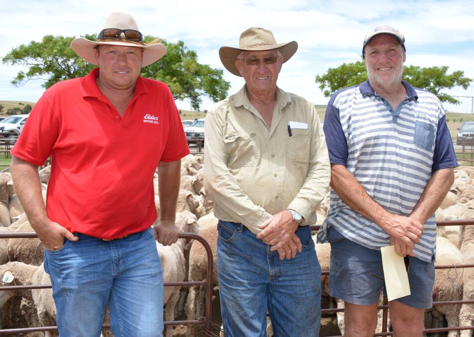 SOUND MARKET: Ian Featherstone, Elders Broken Hill, NSW, vendor Colin Barnes, Wilmington, and buyer Brenton Stringer, Mundoora, in front of the $158 ewes that had come in from Black Gate. 