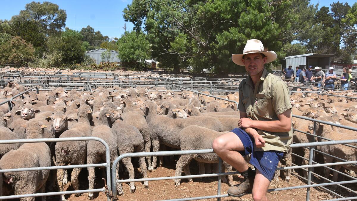 TOP OFFERING: Mark Neumann, Marrabel, with his family's offering of 95 young ewes, Pindari-bld, which sold to the sale top of $244.
