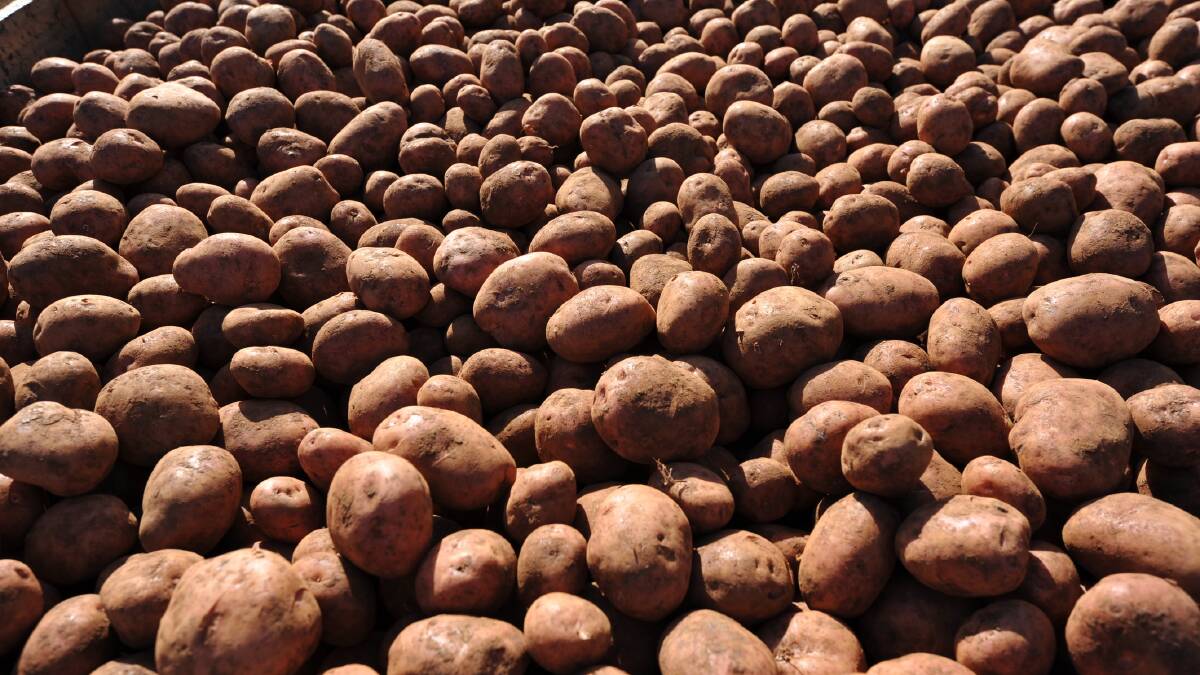 Potato growers face alleged unfair contracts