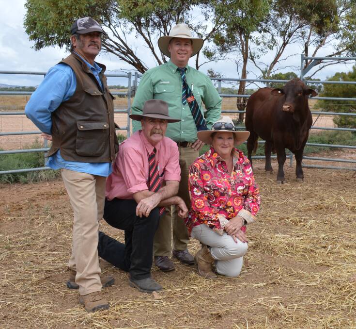 SUITABLE SIRE: Top bull buyer Lance Cramer, NT, with auctioneers Tom Penna, Elders, and Gordon Wood, Landmark, and Seymour Vale principal Mandy Lintern, Tungkillo.