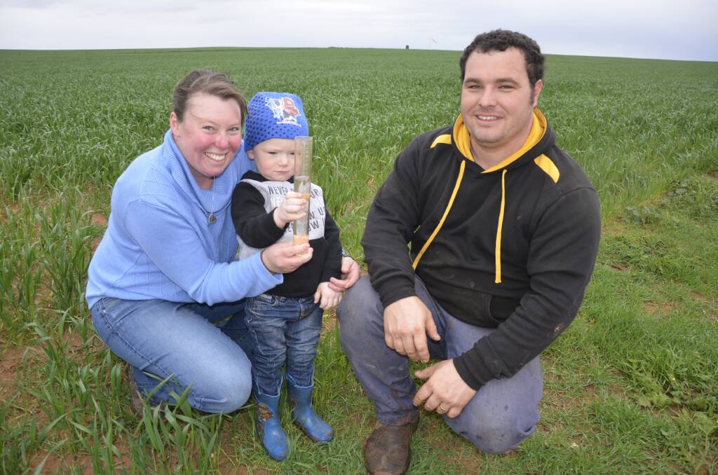 FULL GAUGE: Rebecca, Oscar, 2.5, and Thomas Schmucker, pictured in Mace wheat near Kimba, received 35 millimetres of rain in the past week.