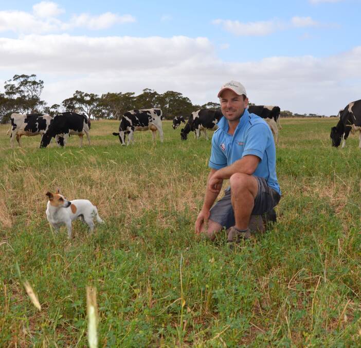 HANDS-ON: Strathalbyn dairyfarmer Ty Maidment, pictured with Polly, has had practical experience with farming in different climates.