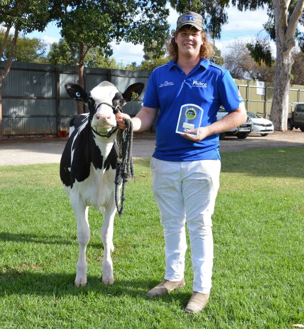 Champion handler and young dairy leadership award recipient Chris Thompson, Mitcham and Brinkley, with a heifer from his own Toris Holsteins stud. Picture by Elizabeth Anderson