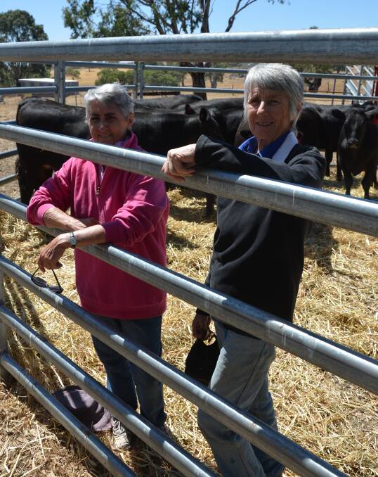STEERING WELL: Barb Fuller and Sue Holt, Eden Valley, with a pen of Angus steers, weighing up to 477 kilograms, bound for a feedlot.