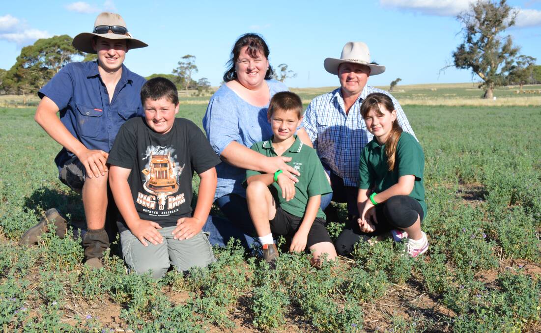 GREEN PADDOCK: The Jaeschke family of Jacob, Thomas, Kate, Caleb, Andrew and Ebony in their 2014-sown L71 dryland lucerne stand at Eden Valley. The paddock is being prepared for weaner calves.