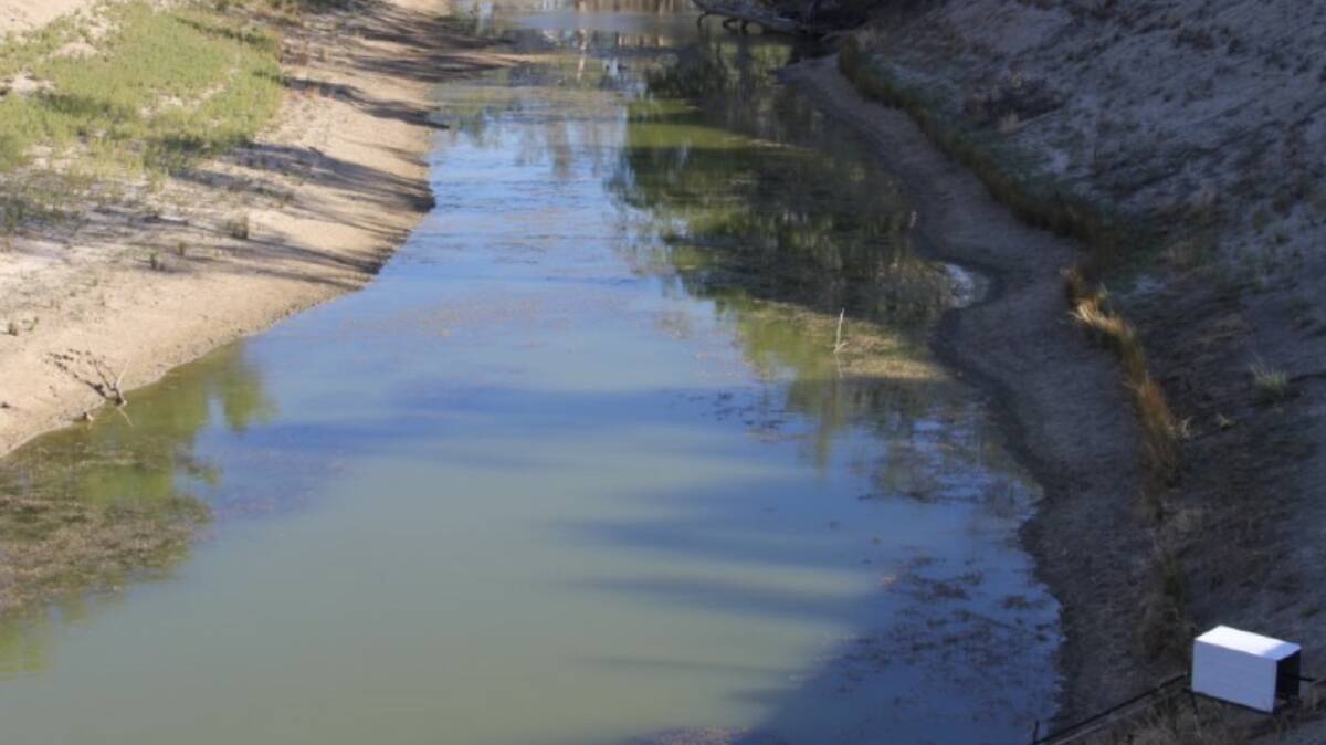 The Lower Darling River at Bindara Station 80km south of Menindee. This waterhole is the only water left for the station's domestic use. Photo: BARB ARNOLD 