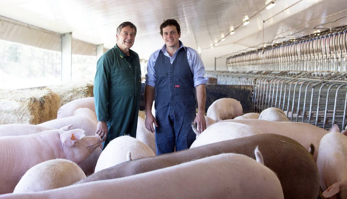 LOOKING FORWARD: Mount Gambier pig farmers Jeff and Tom Braun say a 10-year Coles deal gives them confidence to make long-term investments in their business.