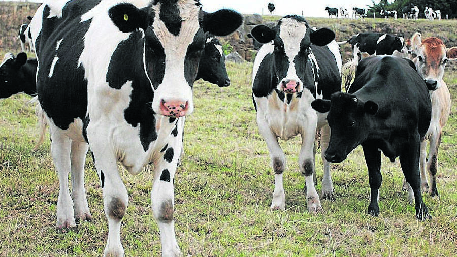 Mixed messages on dairy aid delays help