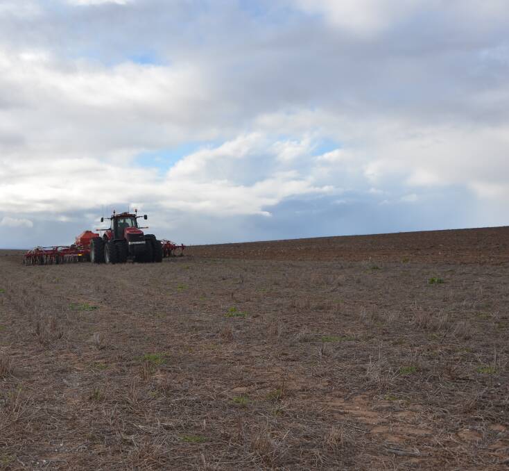 WAITING GAME: EP croppers were left waiting until July before they had any significant rain.
