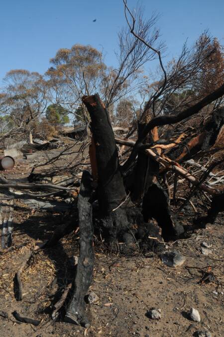 Increased risk of bushfire for much of state