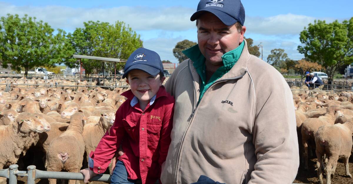 HAPPY SALE: Lucas and Tim Bury, Quorn, sold 188 Nyowee blood 1.5-year-old ewes to $170 at Jamestown on Thursday last week.