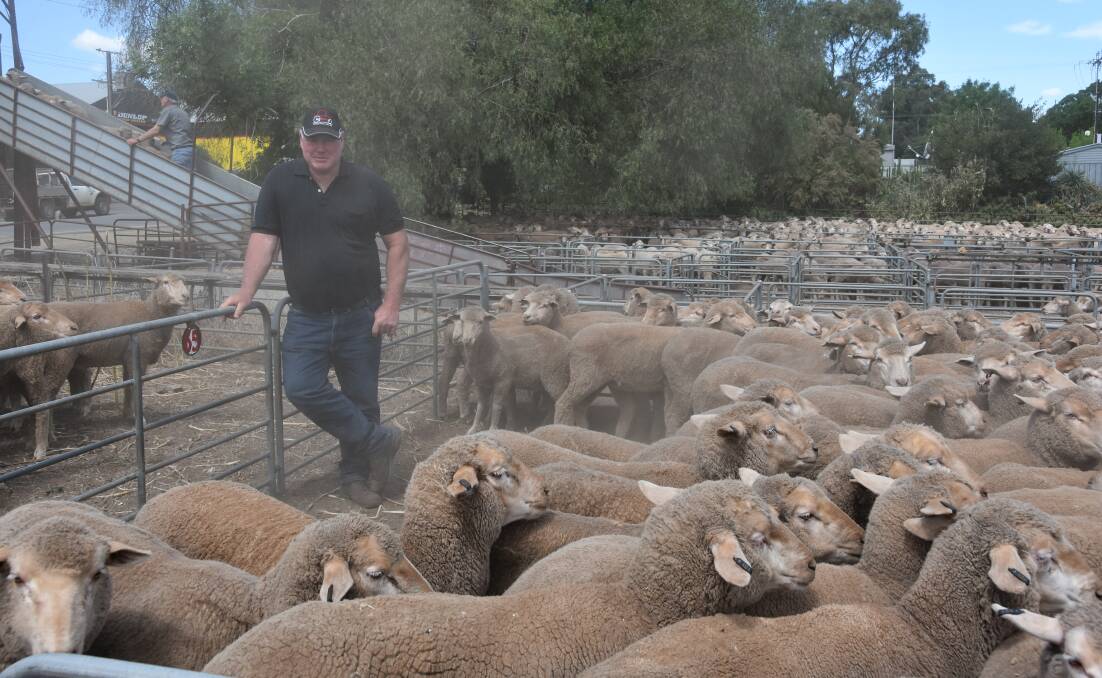 SOLD WELL: Richard Dunstan, Julia, in his pen of young ewes that sold to $210.