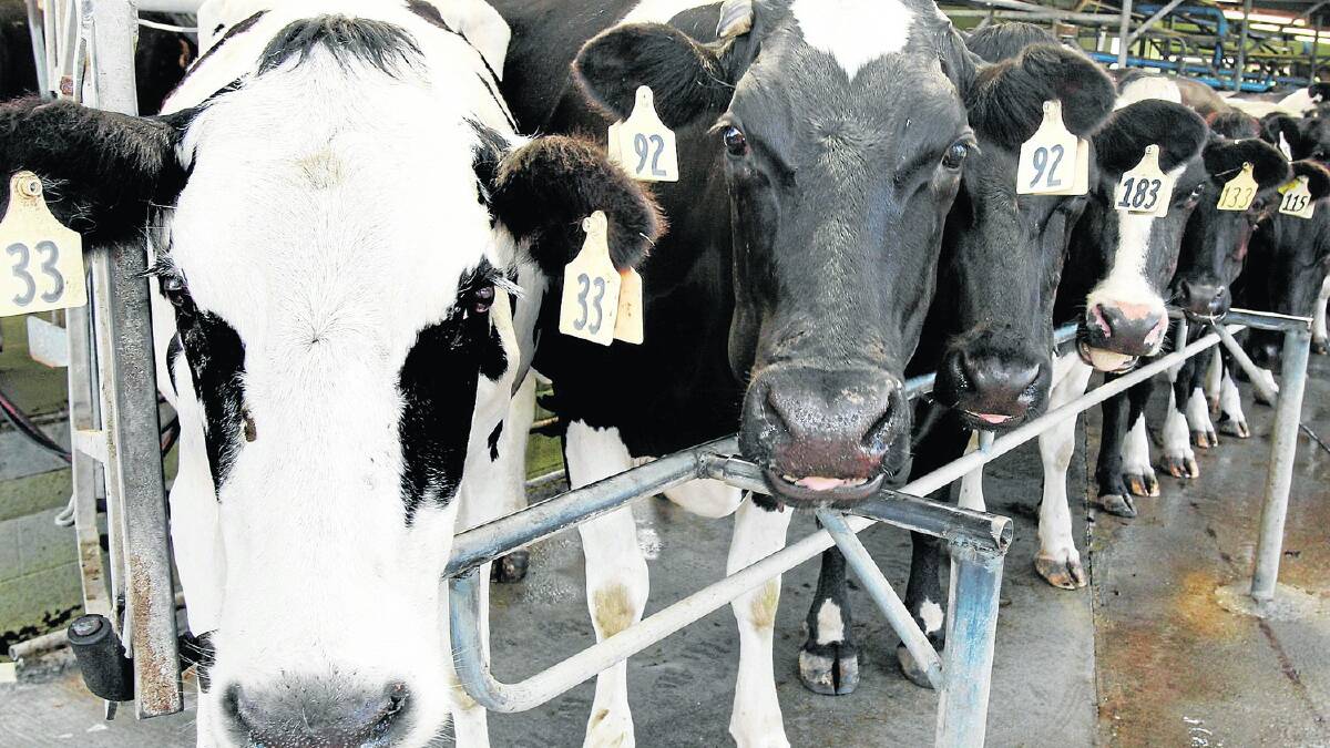 Funds for Dairy CRC wrap up