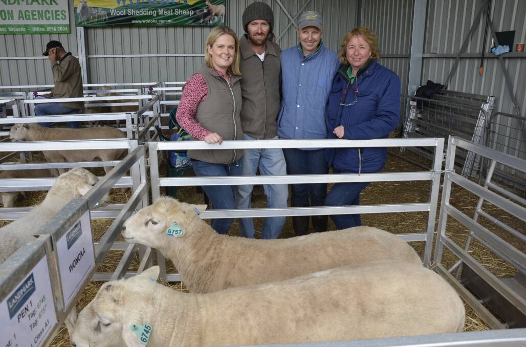 EARLY GROWTH: Buyers Lauren Roberts and Matt Octoman, Calena Heights, Ungarra, with Wonoka principals San Jolly and Ann Wallace, Kapunda, with the top price ram at the front of the pen.