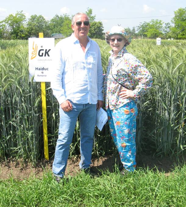 GLOBAL GROWTH: Kath Cooper (right), Sherlock, with CIMMYT triticale breeder Karim Ammar at the International Triticale Symposium, Szeged, Hungary. 