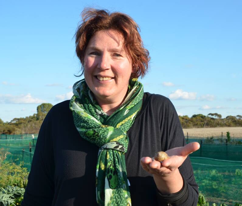 HANDS ON: Careship Coorong founding member Claudia Ait-Touati, Coonalpyn, with one of the common brown snails that proves central to the charity.