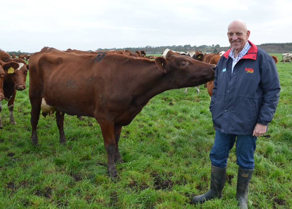 MOOOVING FORWARD: SA Dairy Industry Fund chairman Dennis Mutton is calling for "game changing" projects for the sector.