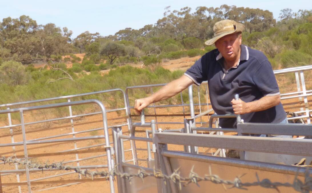 LOOKING FORWARD: Chris Bright, Kimberley Station, via Broken Hill, NSW, says managing goats is a good option for his property, particularly with the high prices.
