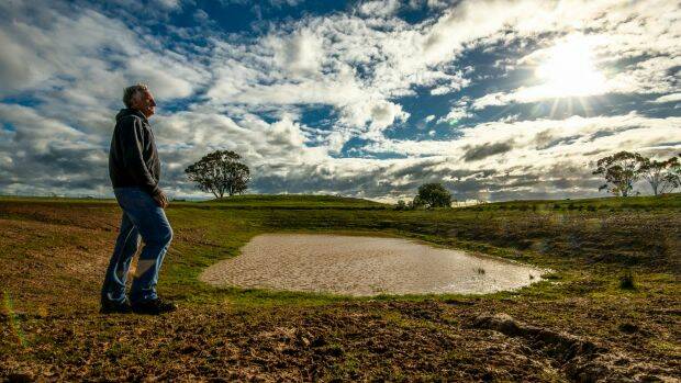 Farmers are looking for more winter rain. Photo: Justin McManus
