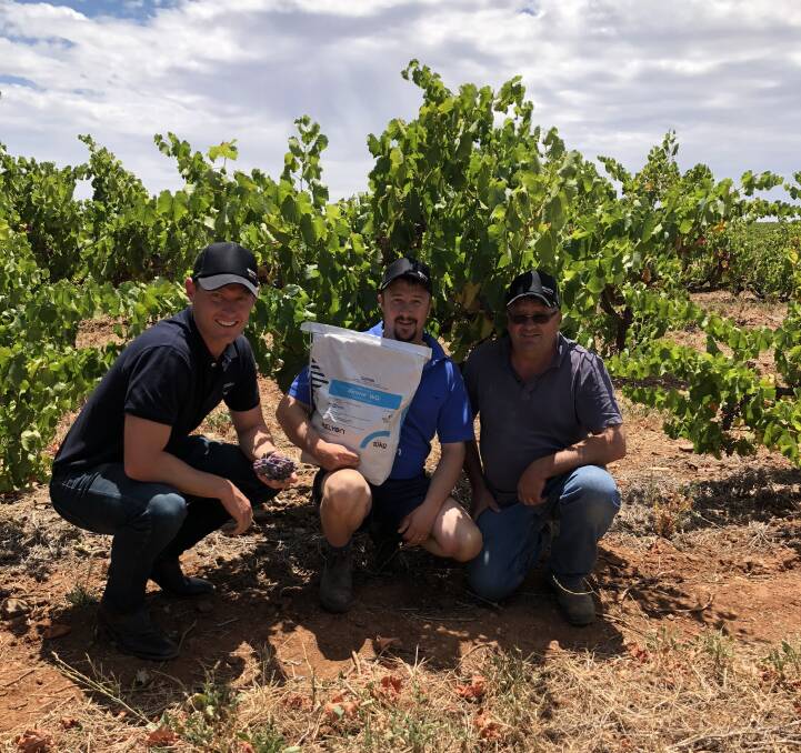 Relyon Australia sales manager Ben Warren, Seppeltsfield vineyard manager Kingsley Fuller, and local Eden Valley grape grower Tim Fechner are pictured here discussing the fungicide program at Seppeltsfield’s Barossa vineyards and the recent use of the new copper-based fungicide, Airone WG.