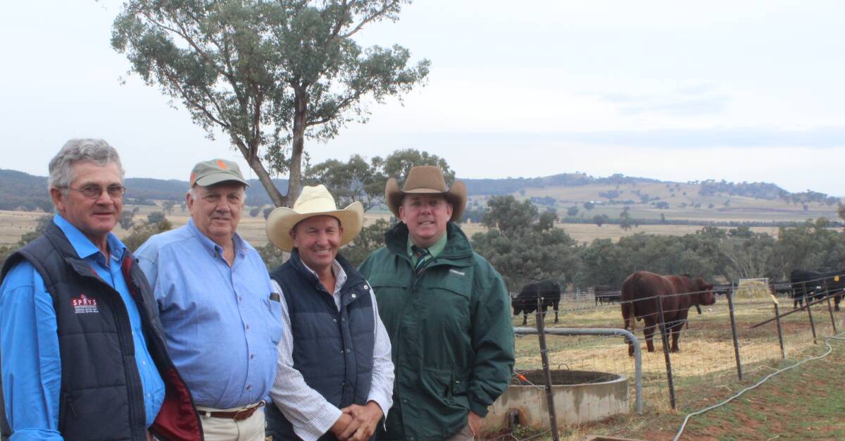Principal Gerald Spry, with volume purchasers Daryl Ford and Max Keenan, Ford Cattle Company, Tea Gardens, and Landmark Albury's Tom Wilding-Davies. Ford Cattle Company topped at $22,000 and averaged $10,909 for 11 bulls.