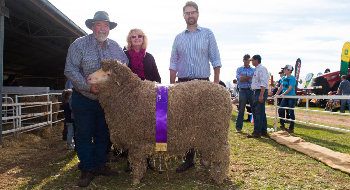SUPREME: Wes and Andy Titley, Sherlock stud, Sherlock, with Hunter the ram, with sponsor Rabobank Clare branch manager Matt Butler.