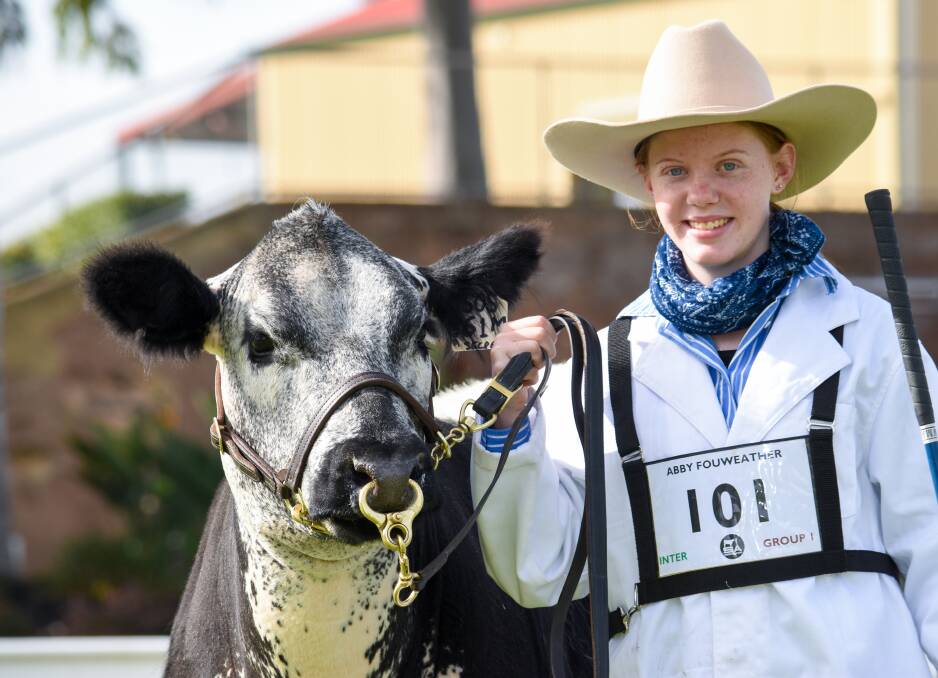 VISITOR: WA entrant Abby Fouweather, with Mt Eccles Sahara, won a scholarship to compete at the SA Junior Heifer Expo, Adelaide.