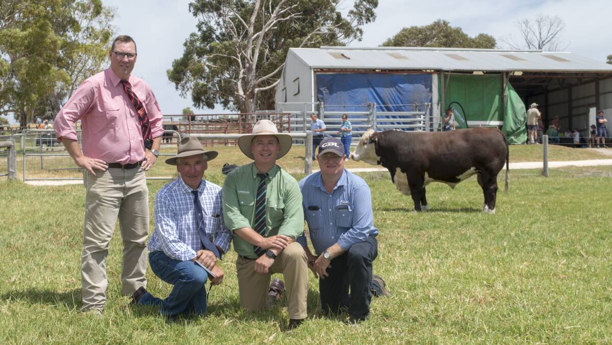 Elders’ Ross Milne, Morganvale stud principal Allan Morgan, Landmark’s Gordon Wood and top price bull buyer Ruralco stud stock specialist Mark Duthie, Dalby, Qld, who bought Morganvale Magic on behalf of Yavendale Herefords, Adelong, NSW.