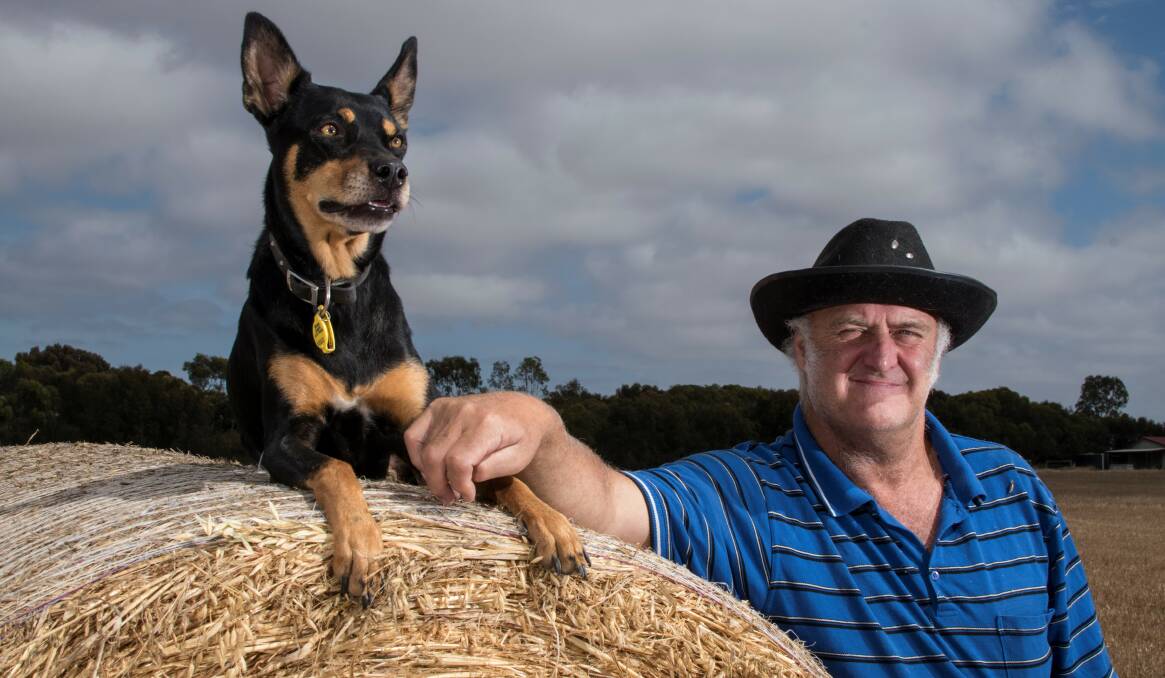 NEW PATHWAYS: John Talbot, Murray Bridge, with his kelpie Queenie, are about to embark on a new project.