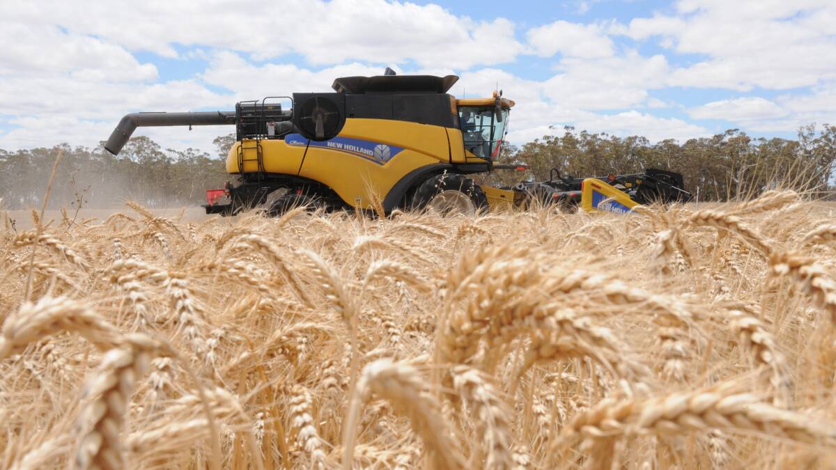 HARVEST UNDERWAY: Generally Eyre Peninsula farmers are not disappointed with their crops, having been realistic with their expectations.
