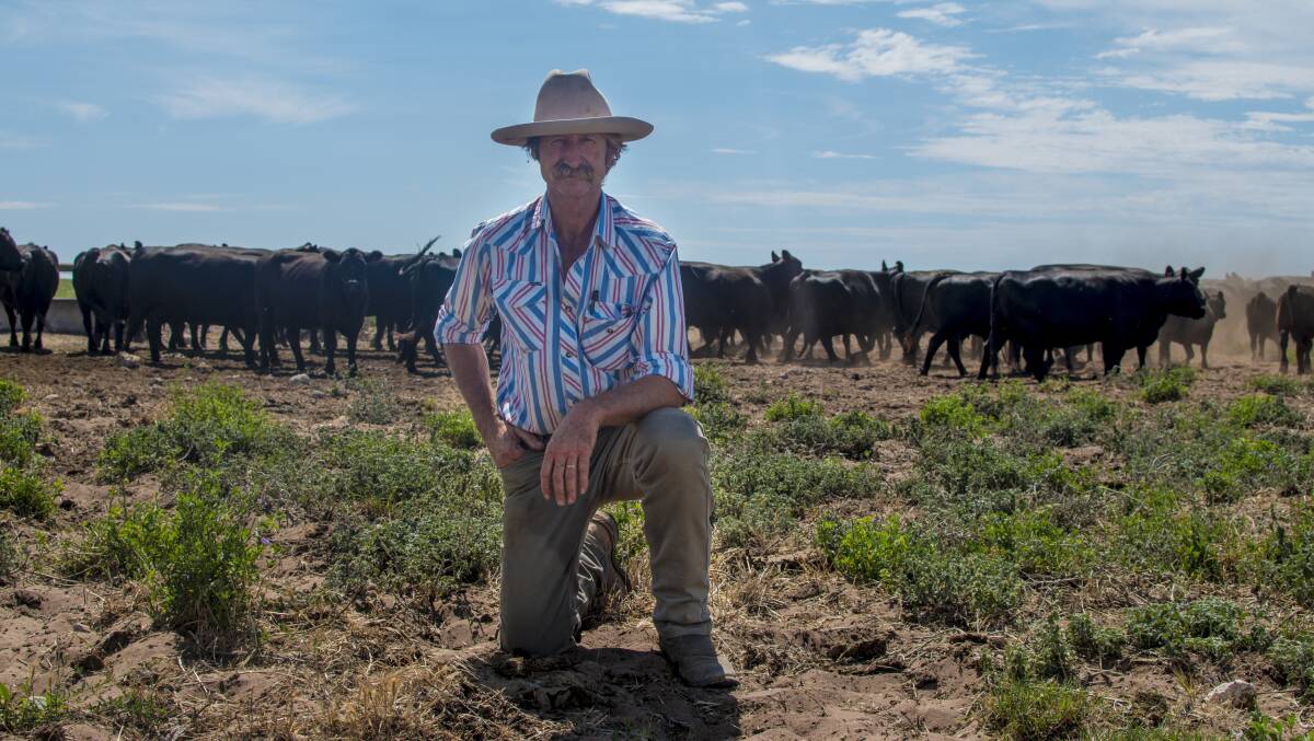 BEEF UP: Dave Harvey with his Angus cattle.