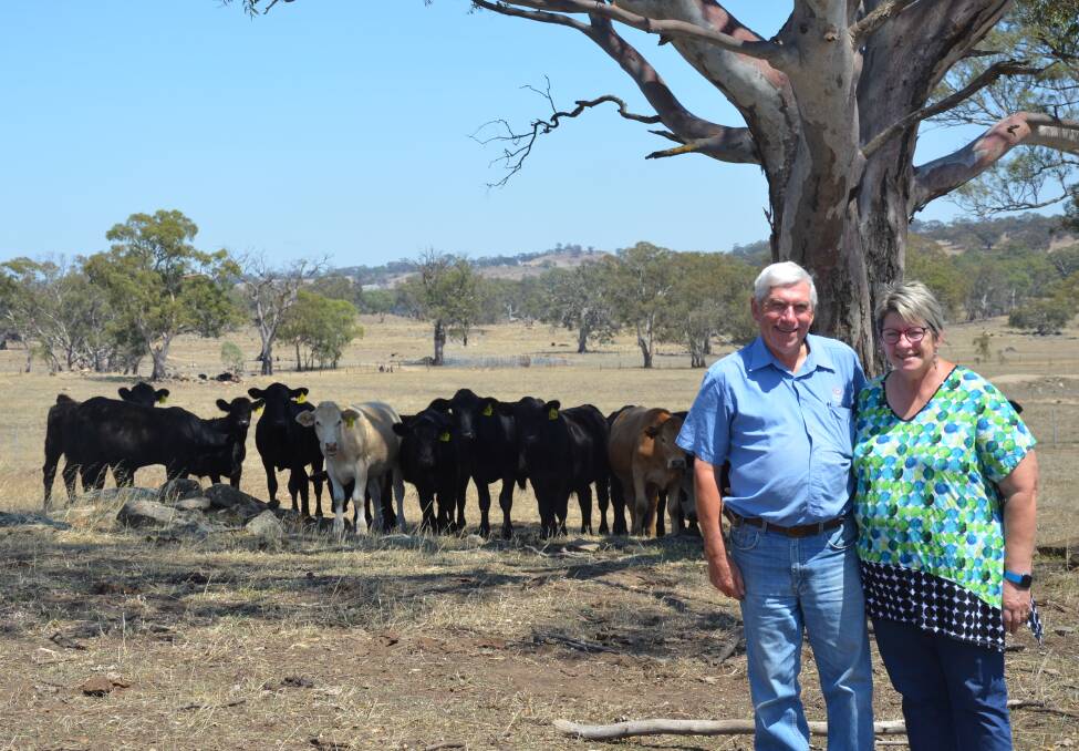 SWITCHING FOCUS: James and Coralie Gerhardy, Keyneton, are moving into the weaner market, having previously bred and sold vealers.