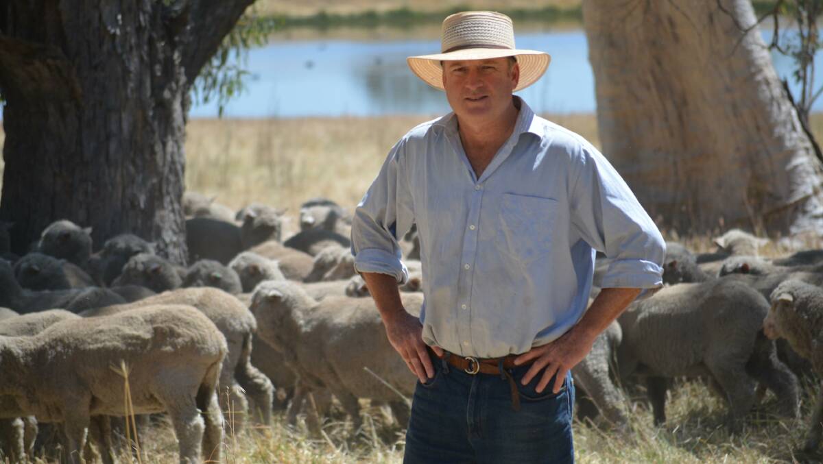 WoolProducers Australia president Ed Storey is calling on the government to suspend wool grower levies and instead pay the shorfall.