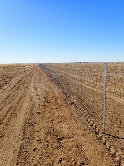 A newly-installed fence in central-west Queensland.