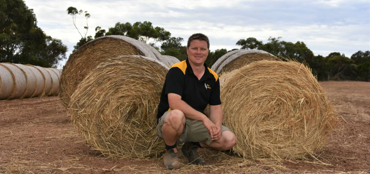 LOOKING AHEAD: Josh Krieg, Roseworthy, continues to focus on new, modern ways of farming to help push the family operation to new heights.  