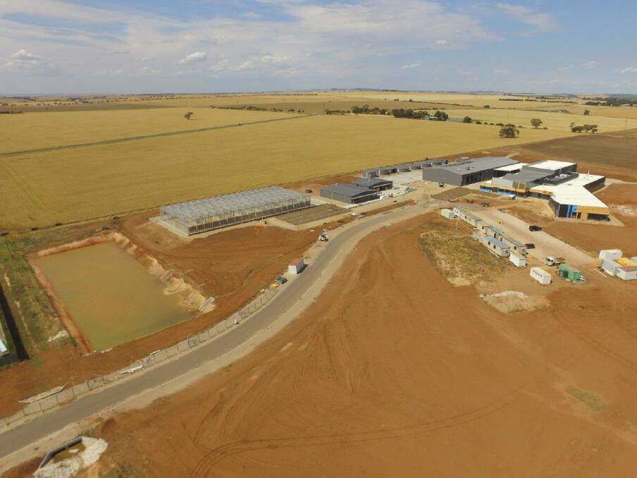 NEW FACILITY: Australian Grain Technologies will operate from a new plant breeding centre at Roseworthy. 