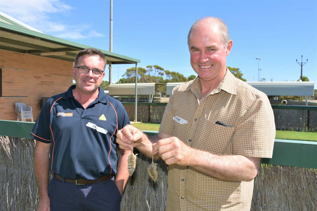 OUTBREAK AHEAD: Agronomist Simon Nott, Platinium Ag, Murray Bridge, and Tim Freak, Coomandook, with mice found at the Mallee Sustainable Farming research update at Geranium last week. 