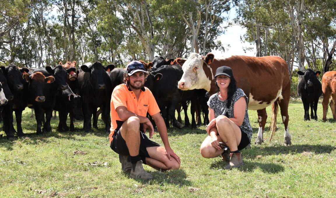 NEW IDEAS: Tyson Schellen, Cowirra, with his mother Jo, and their first drop of calves using Wagyu bull, Waggy Woo, over crossbred breeders. The calves have just reached four months old. 