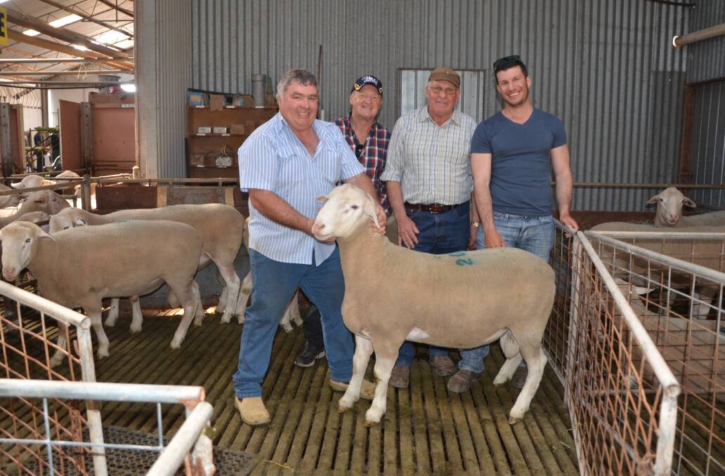 HIGH MUSCLE: Anna Villa stud principal Anthony Ferguson, Ken Haywood, WA, and the top price White Suffolk ram buyers Wayne and Samuel Young, River Park Farming, Pt Pirie.