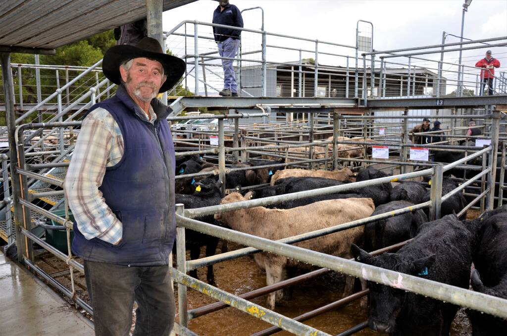 PACING PENS: Cattleman Graham Bramley, Clayton Pastoral, was looking for quality steers at the Strathalbyn cattle market on Friday last week. 