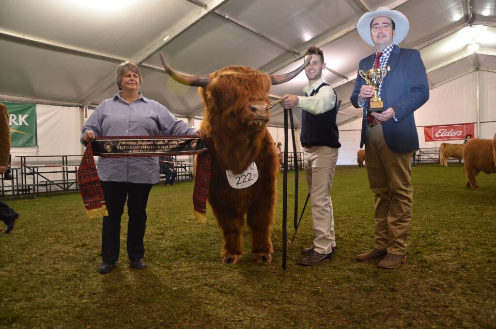SUPREME:  Leanne Carter, Nuriootpa, Scott Carter, Amrabull Park Highlands, Nuriootpa, with winning bull exhibit and Jake Phillips, Naracoorte. 
