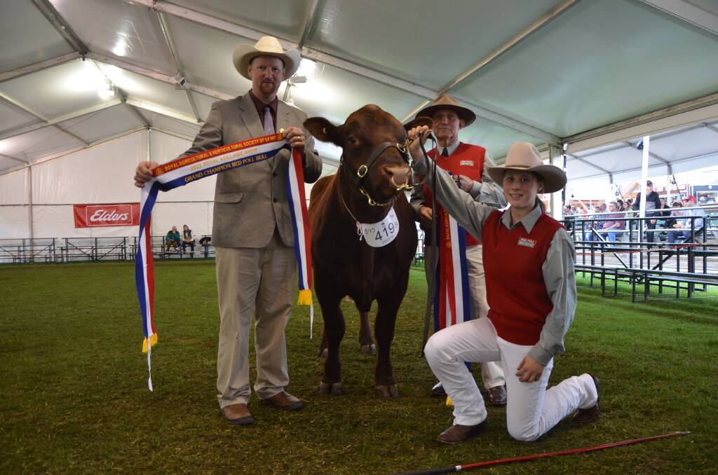 WINNER: Red Poll judge Tim Lord, Bowral, with grand champion bull Moyle Park Pemberton, led by Cassy Poulton, and bred by Richard Daley, Moyle Park Red Polls, Jamestown, 