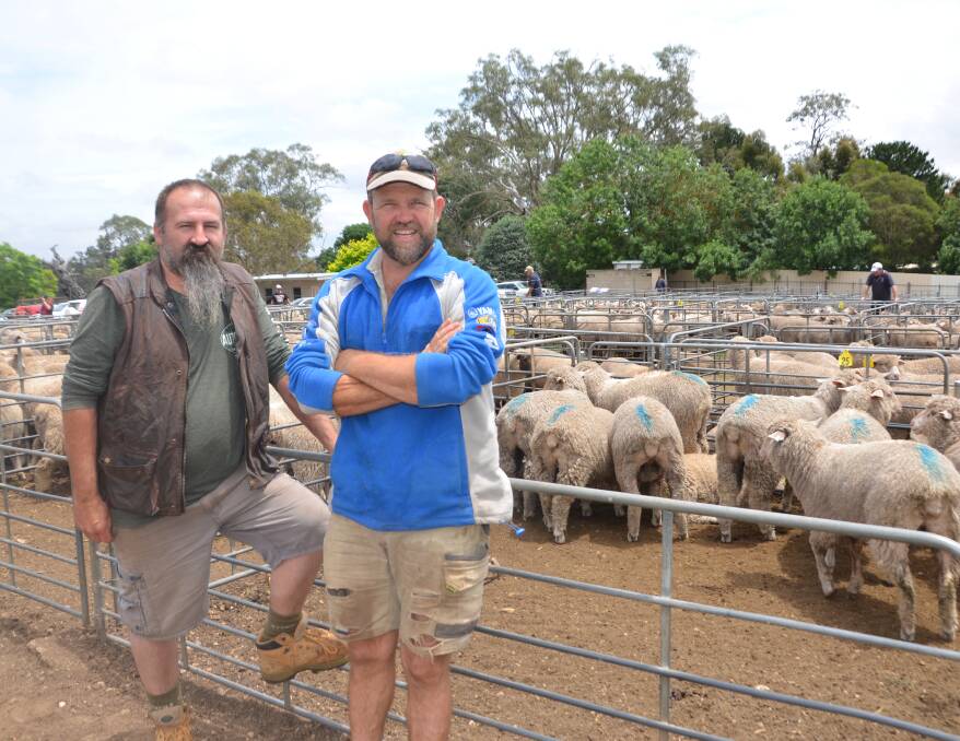 QUALITY LAMBS: Robert Jacob, Sedan, and Glenn Howson, Cromer, sold 10 crossbred lambs for $131. 