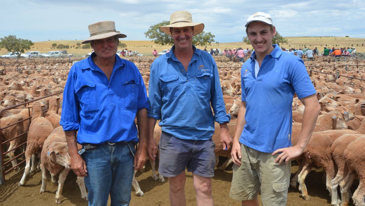 Alistair McTaggart, Moonaree Station, with Paul and Josh Cousins, Cousins Merino Services, Burra, sold 1378 6.5-year-old ewes to $118, averaging $114, at Jamestown.