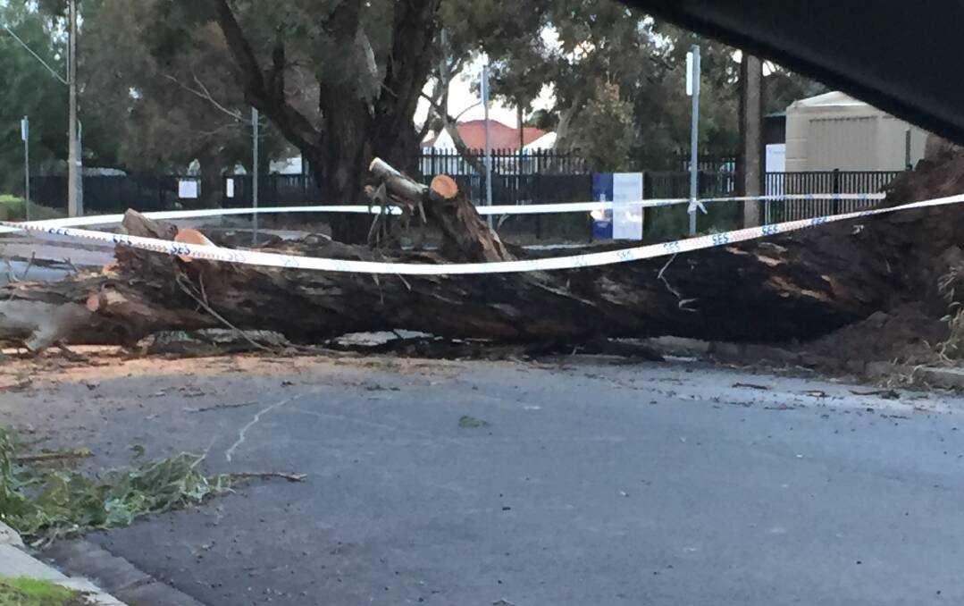 DAMAGING: Wind gusts of more than 100 km/h have been recorded across the state.